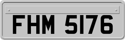 FHM5176