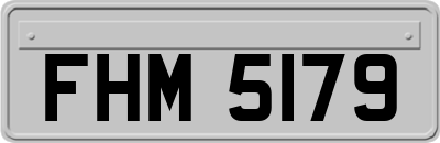 FHM5179