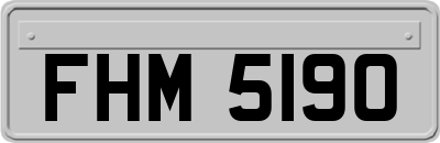 FHM5190