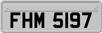 FHM5197