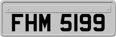 FHM5199