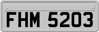 FHM5203