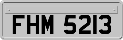 FHM5213