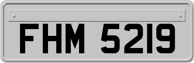 FHM5219