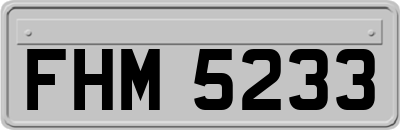 FHM5233