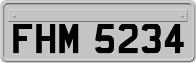 FHM5234