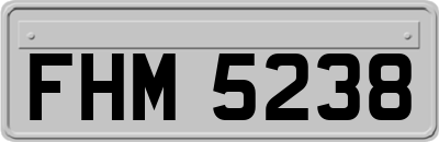 FHM5238