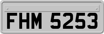 FHM5253