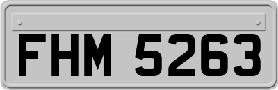 FHM5263