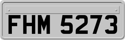 FHM5273