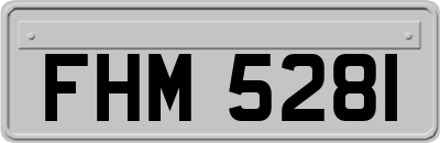 FHM5281