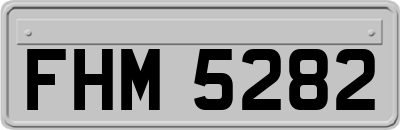 FHM5282