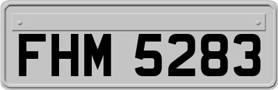 FHM5283