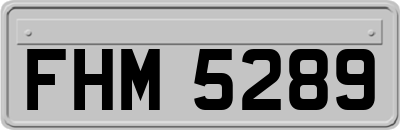 FHM5289