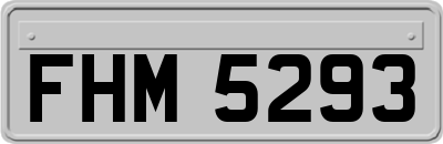 FHM5293