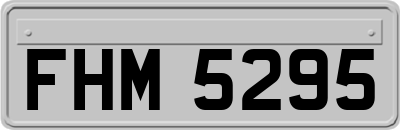FHM5295