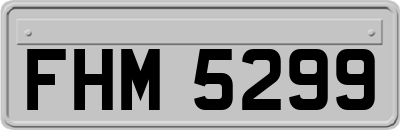 FHM5299