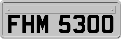 FHM5300
