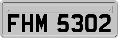 FHM5302