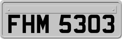 FHM5303
