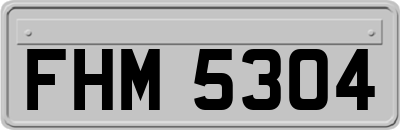 FHM5304