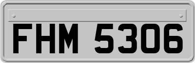 FHM5306