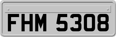 FHM5308