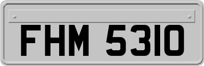 FHM5310
