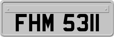 FHM5311