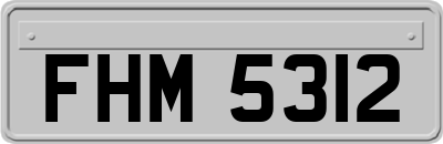 FHM5312