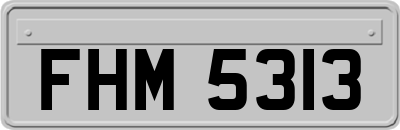 FHM5313