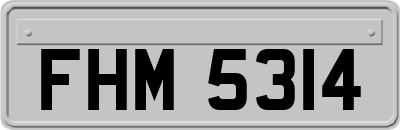 FHM5314