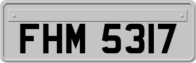 FHM5317