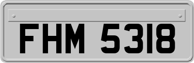 FHM5318