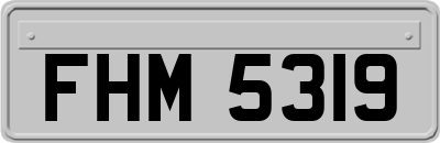 FHM5319