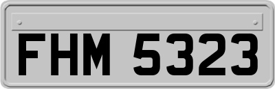 FHM5323
