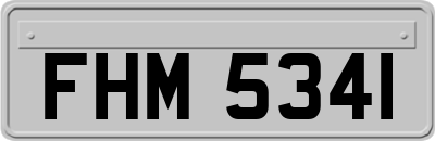 FHM5341