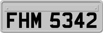 FHM5342