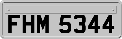 FHM5344