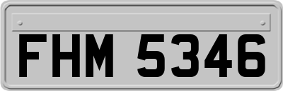 FHM5346