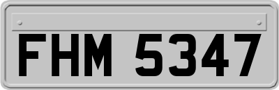 FHM5347