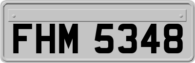 FHM5348