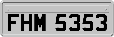 FHM5353