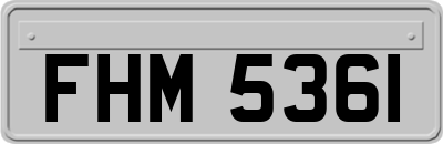 FHM5361