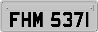 FHM5371
