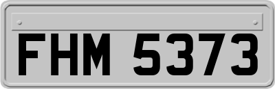 FHM5373