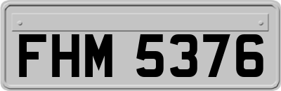 FHM5376