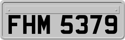 FHM5379
