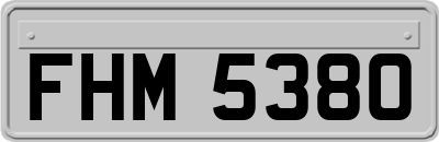 FHM5380