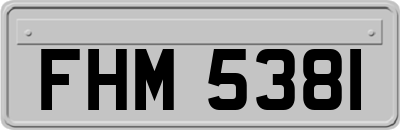 FHM5381